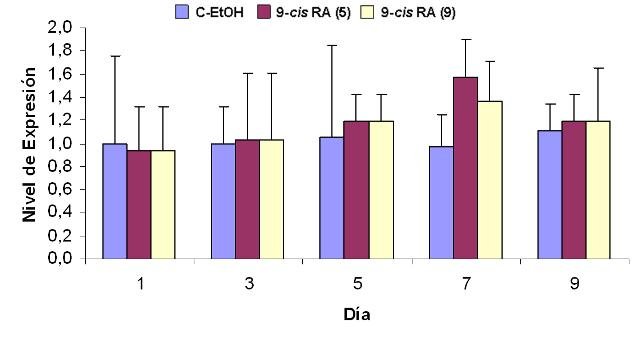Figura 10. Efecto del tratamiento con 9-cis RA sobre la expresin de MST1 en clulas IMR-32. Se representan los niveles de expresin relativa de MST1 con respecto al control interno GAPDH (expresados como 2-ΔΔCt) frente a los das de tratamiento. (9) indica exposicin al 9-cis RA durante 9 das. (5) indica exposicin al 9-cis RA durante los 5 primeros das de tratamiento. Los valores que se muestran (media  SEM) se calcularon a partir de los resultados obtenidos tras la realizacin de 3 experimentos realizados por triplicado.